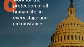 9 Days for Life: Day Eight: May civic leaders work for the protection of all human life, in every stage and circumstance