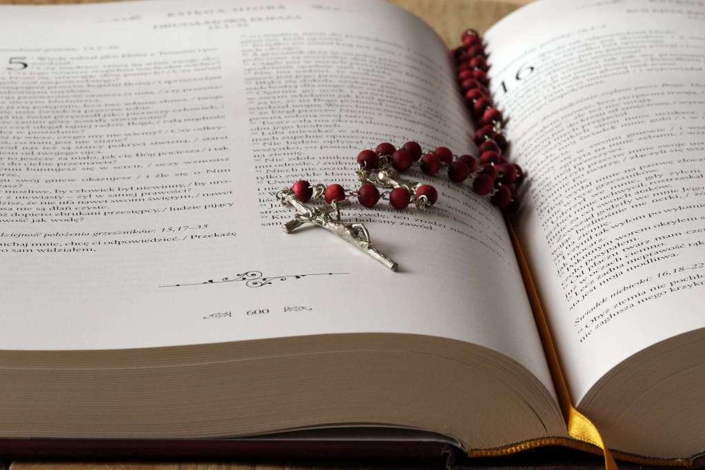 Remain in my love: Homily for Thursday, May 7, 2026