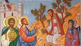 "Zacchaeus, come quickly!": Receiving Jesus with joy unto salvation