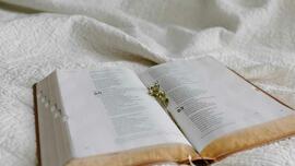 Be Opened: Homily for Friday, February 9, 2024