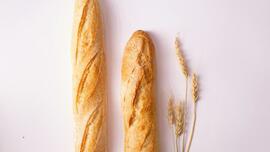 My bread is not the bread of life: Homily for Sunday, August 4, 2024
