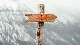 Let God Prepare the Way: Homily for Sunday, December 8, 2024