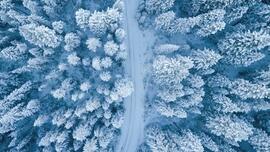 From above: Reflection for Monday, April 28, 2025