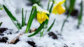 Hope and pessimism: Reflection for Saturday, April 12, 2025
