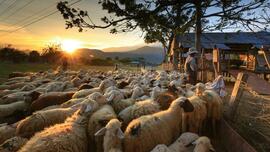 Going in through the gate: Reflection for Monday, May 12, 2025
