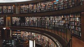 Wisdom figures: Reflection for Friday, May 2, 2025
