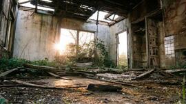 Trying to destroy the Church? Reflection for Wednesday, May 7, 2025