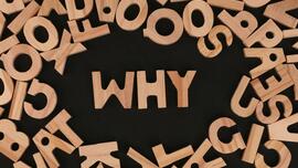 Why does it matter? Homily for Sunday, November 9, 2025