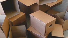 Nothing New: Homily for Thursday, November 13, 2025