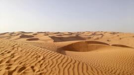 Led by the Spirit? Homily for Sunday, February 22, 2026