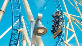 Montaña rusa: Homilía para el domingo 1 de marzo de 2026