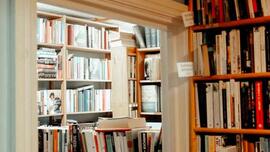 Lessons from a bookstore: Homily for Sunday, April 19, 2026