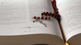 Remain in my love: Homily for Thursday, May 7, 2026
