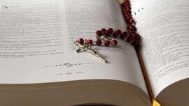 Remain in my love: Homily for Thursday, May 7, 2026
