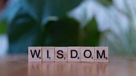 God’s Wisdom: Homily for Sunday, July 5, 2026