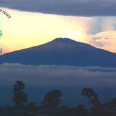 Month for Peace: Cameroon